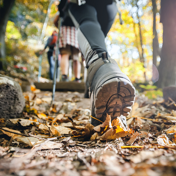 Group of people walking along a nature trail